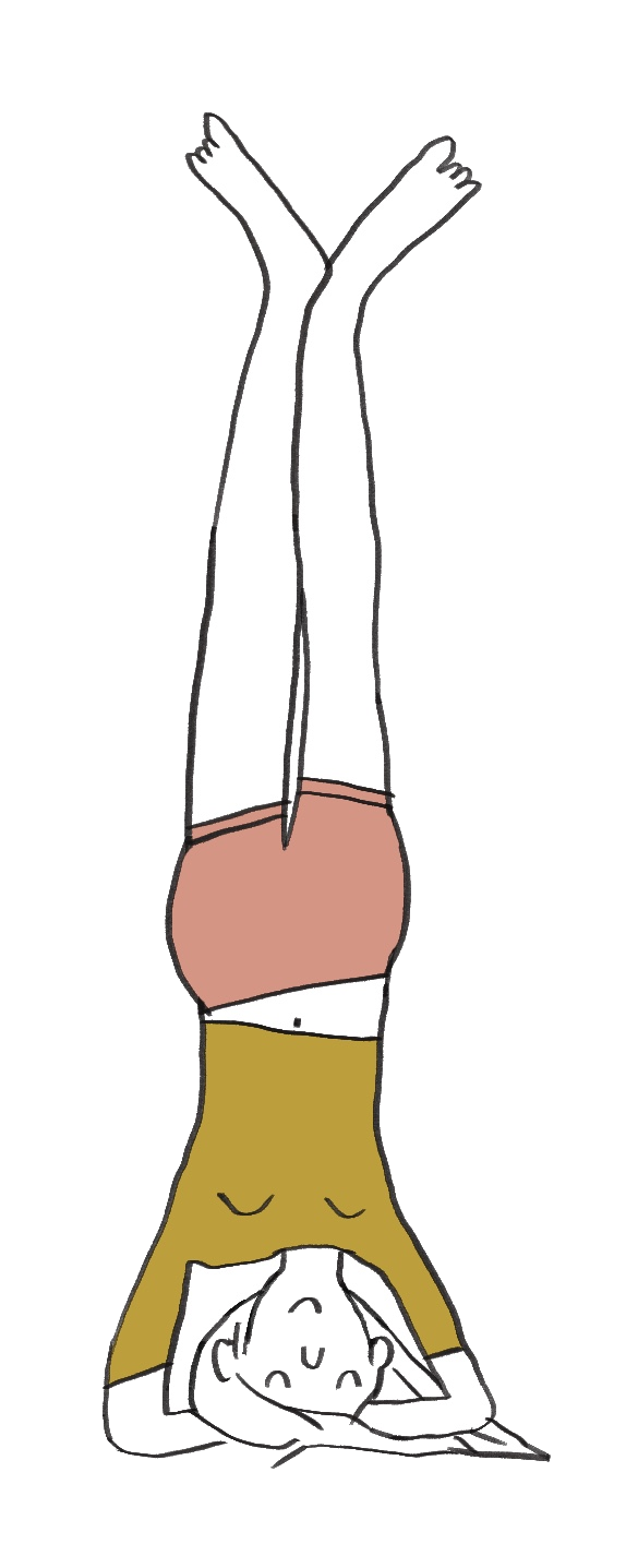 Pratique intermédiaire / avancé